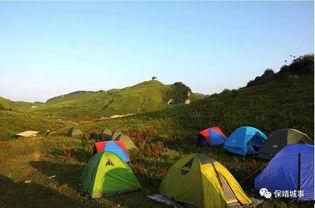 郴州露营爆料事件最新消息,最新进展揭秘，真相大白！